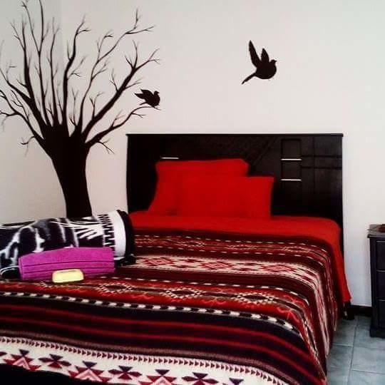 The Backpacker Hostal Ібарра Екстер'єр фото
