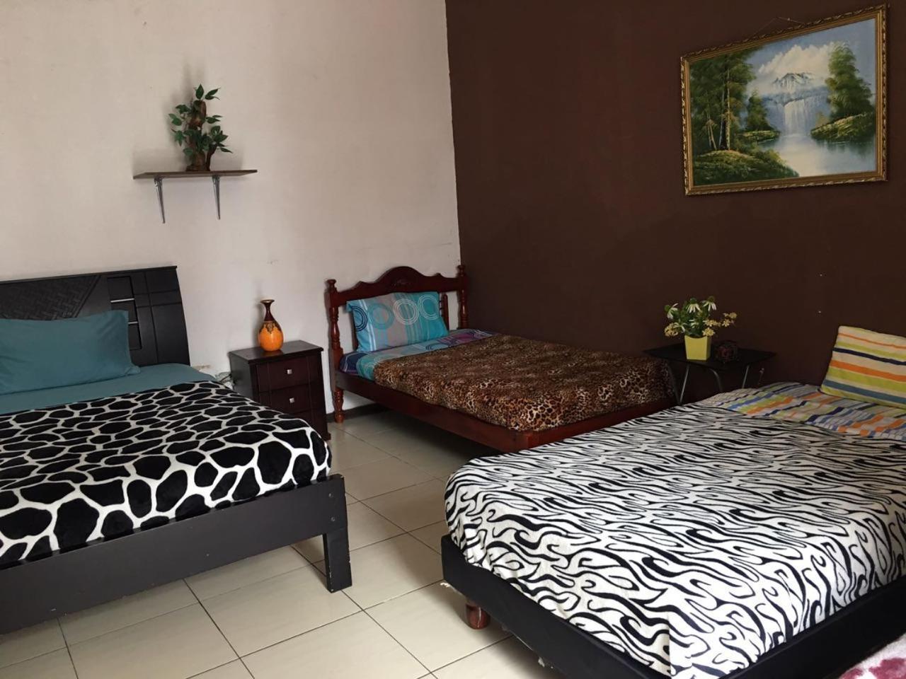 The Backpacker Hostal Ібарра Екстер'єр фото